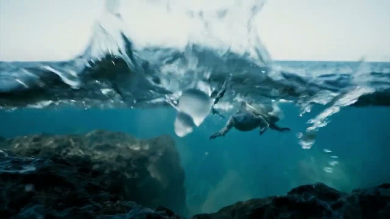 Sea Glass: an imaginary voyage made with Veo 3