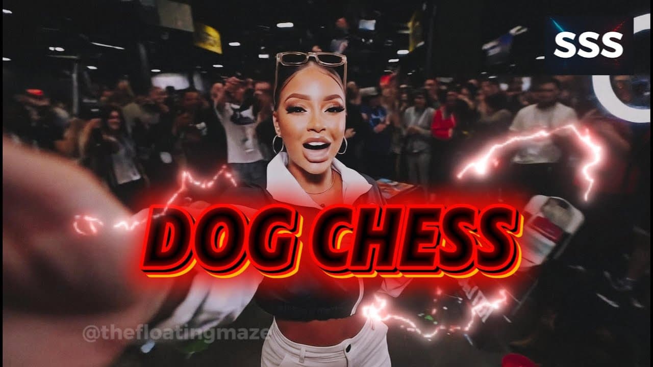 SSS: An Unhinged Night of Dog Chess